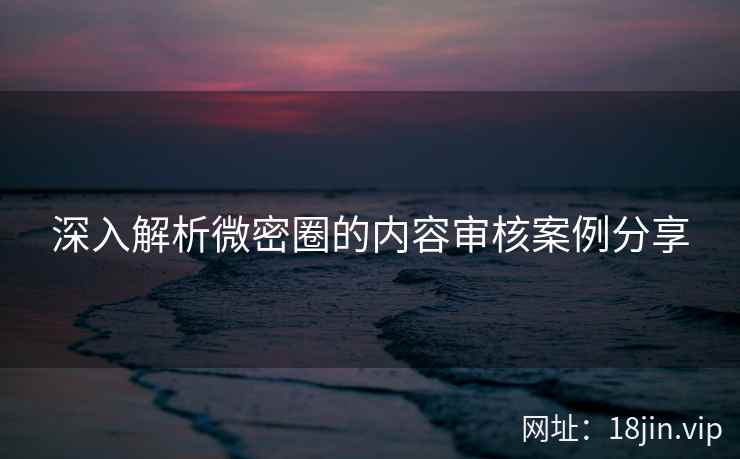 深入解析微密圈的内容审核案例分享