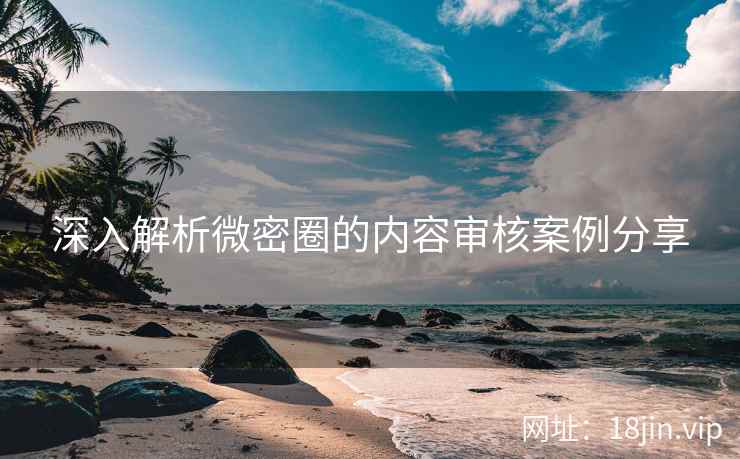 深入解析微密圈的内容审核案例分享