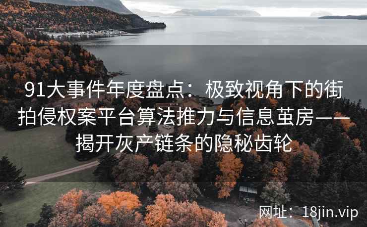 91大事件年度盘点：极致视角下的街拍侵权案平台算法推力与信息茧房——揭开灰产链条的隐秘齿轮