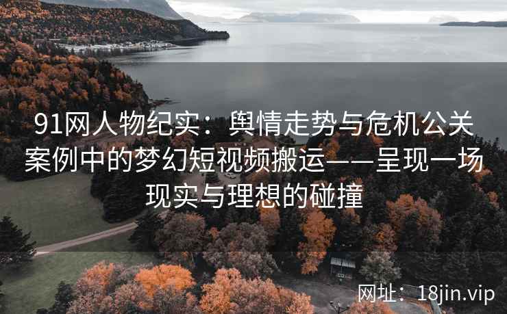 91网人物纪实：舆情走势与危机公关案例中的梦幻短视频搬运——呈现一场现实与理想的碰撞