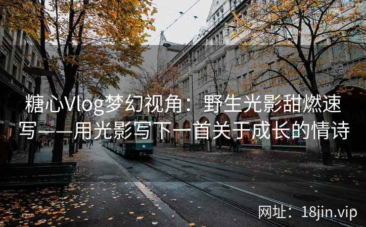糖心Vlog梦幻视角：野生光影甜燃速写——用光影写下一首关于成长的情诗