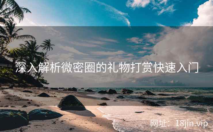 深入解析微密圈的礼物打赏快速入门