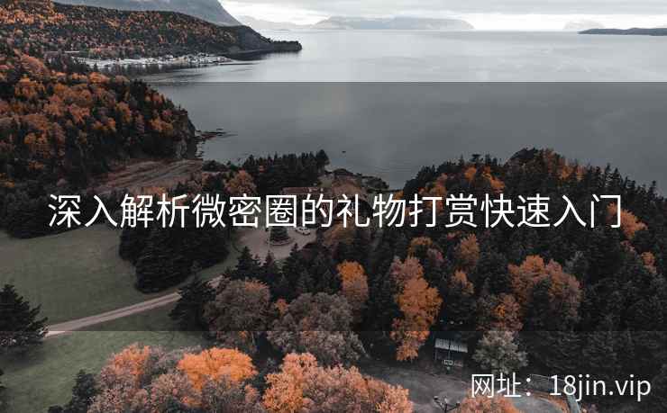 深入解析微密圈的礼物打赏快速入门