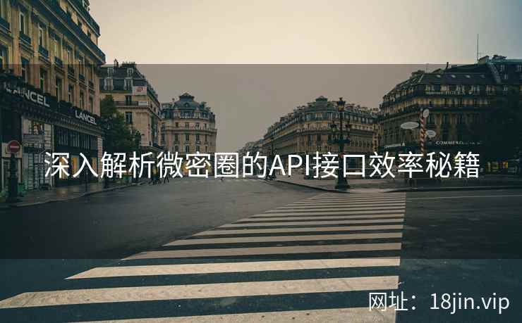 深入解析微密圈的API接口效率秘籍
