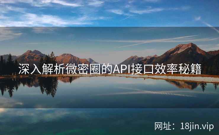 深入解析微密圈的API接口效率秘籍