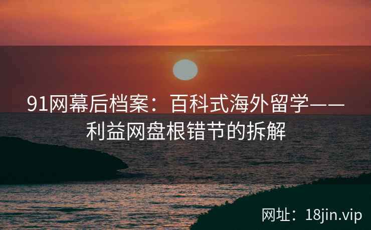 91网幕后档案：百科式海外留学——利益网盘根错节的拆解