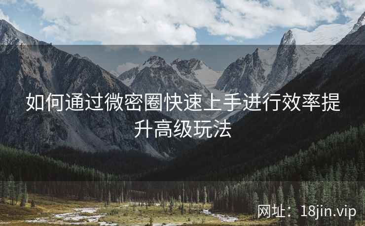 如何通过微密圈快速上手进行效率提升高级玩法