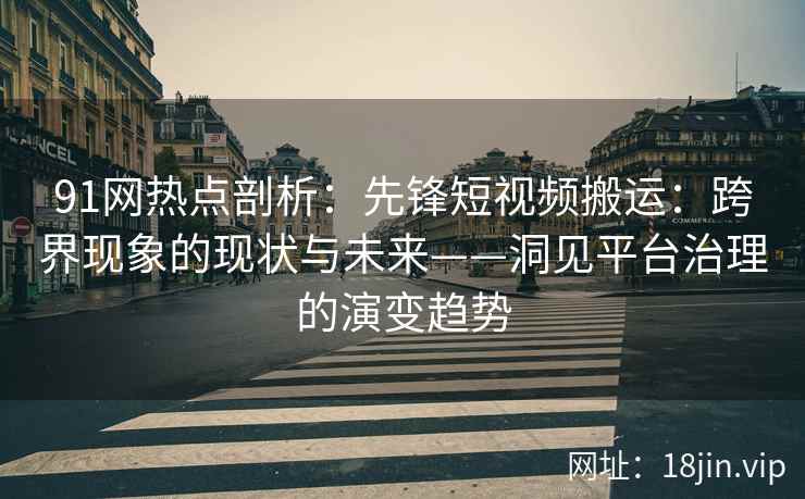 91网热点剖析：先锋短视频搬运：跨界现象的现状与未来——洞见平台治理的演变趋势