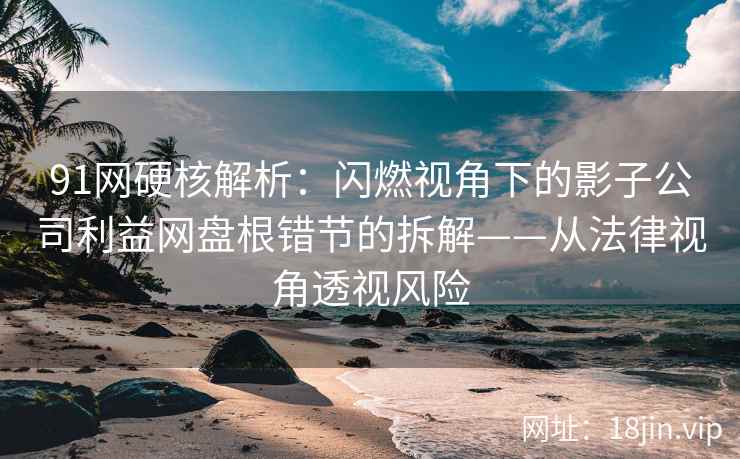 91网硬核解析：闪燃视角下的影子公司利益网盘根错节的拆解——从法律视角透视风险