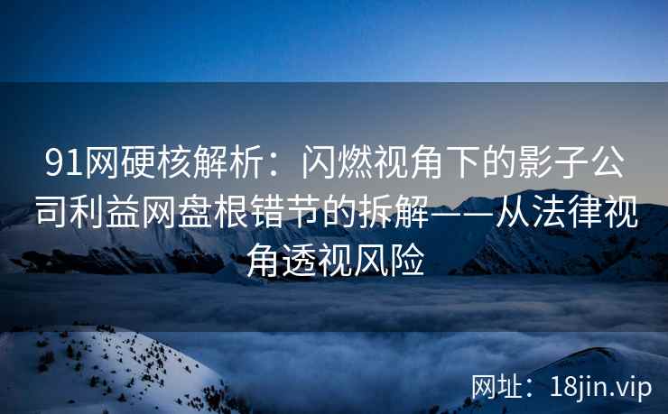 91网硬核解析：闪燃视角下的影子公司利益网盘根错节的拆解——从法律视角透视风险